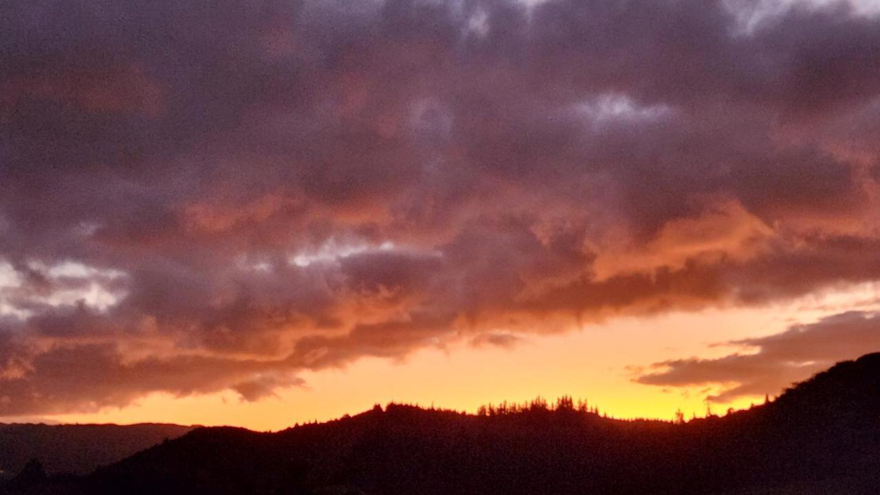 Hotel Boutique Art Retreat Upper Hutt Esterno foto
