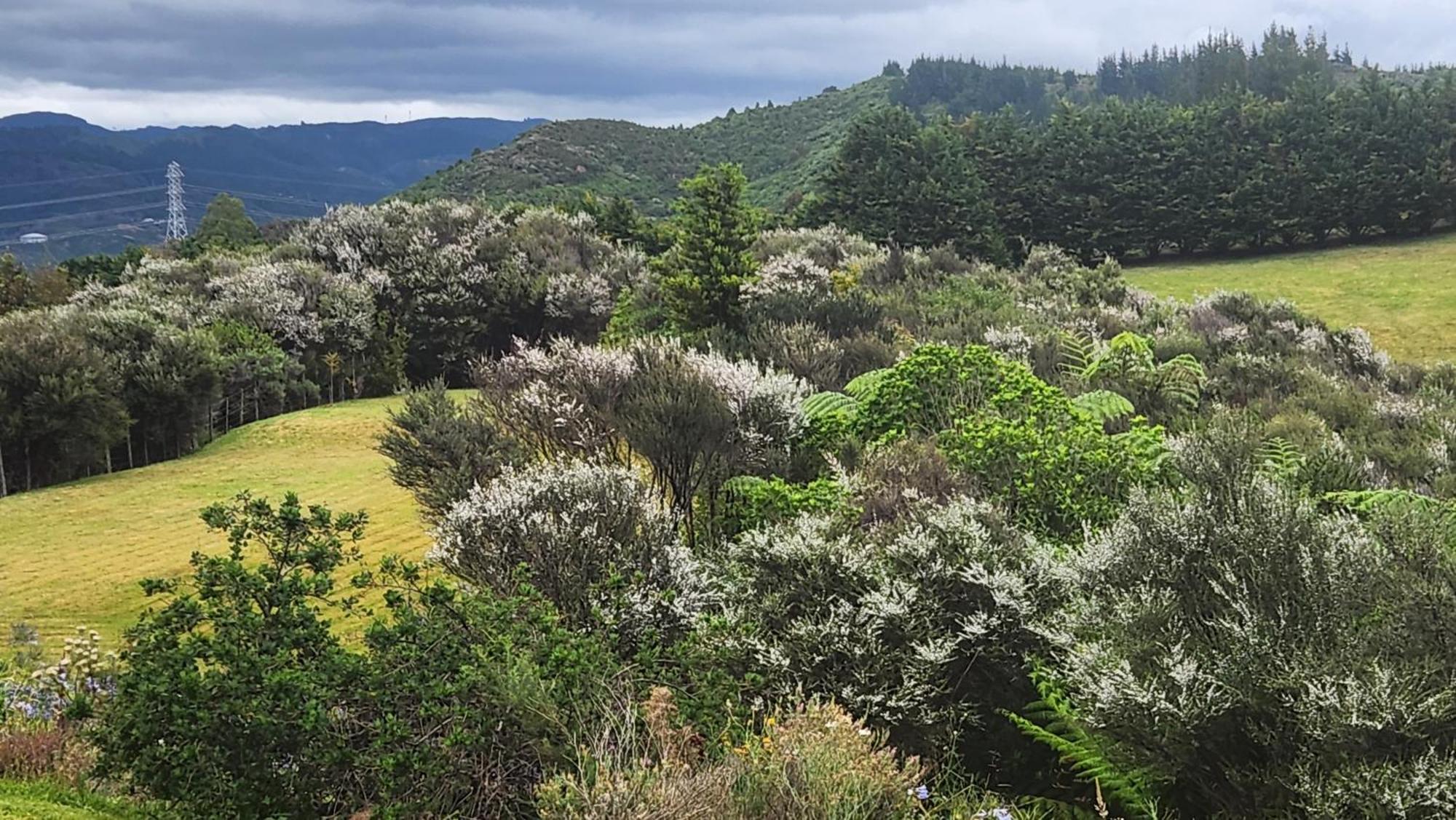 Hotel Boutique Art Retreat Upper Hutt Esterno foto
