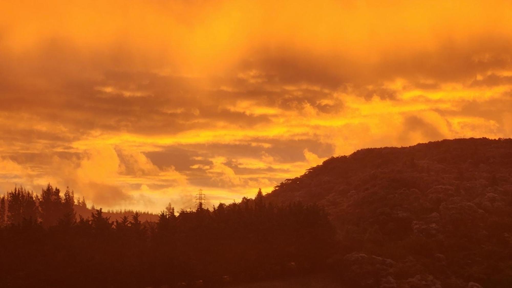 Hotel Boutique Art Retreat Upper Hutt Esterno foto