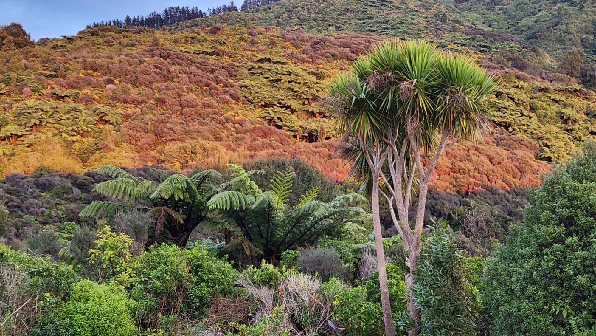 Hotel Boutique Art Retreat Upper Hutt Esterno foto