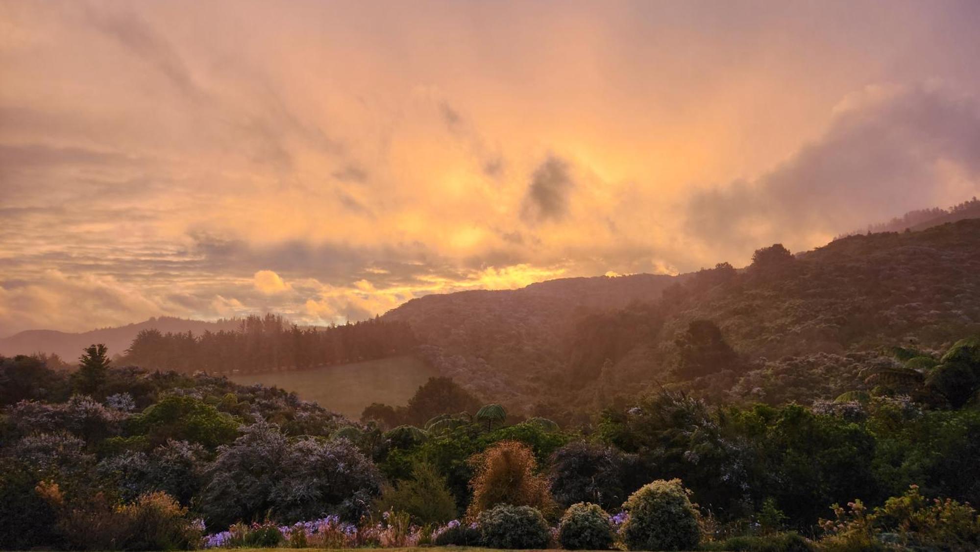 Hotel Boutique Art Retreat Upper Hutt Esterno foto