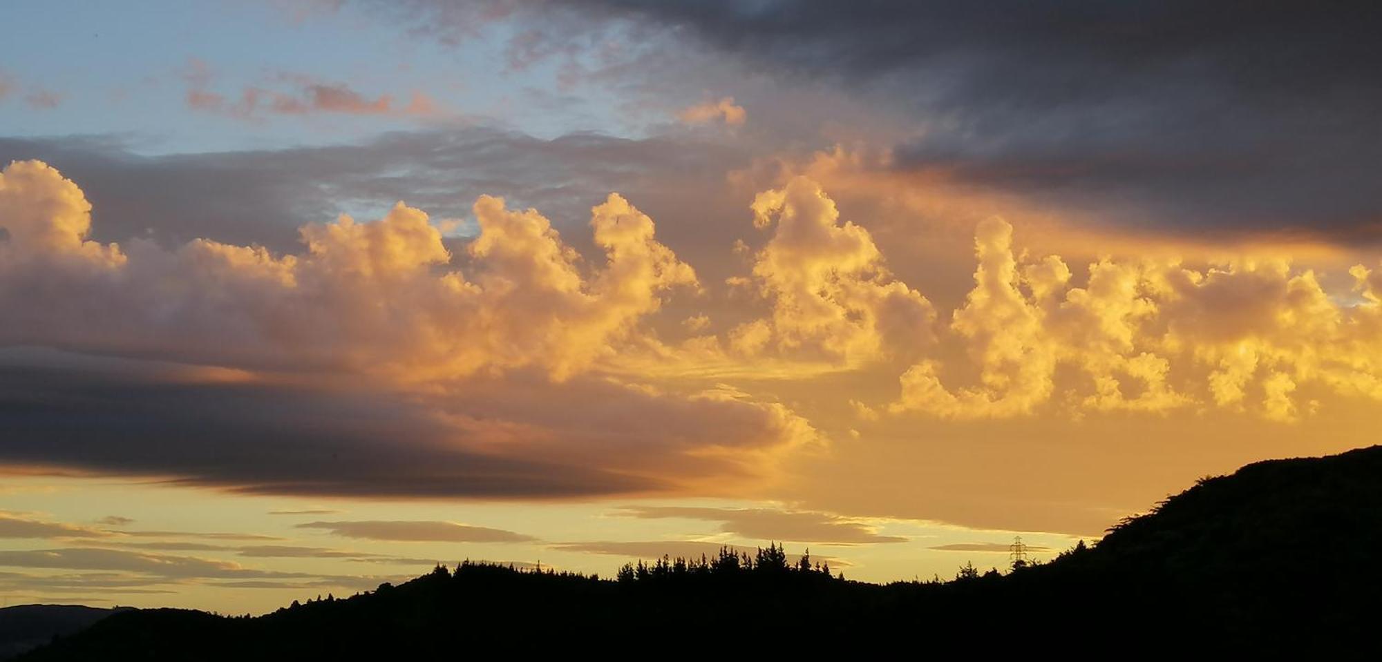 Hotel Boutique Art Retreat Upper Hutt Esterno foto