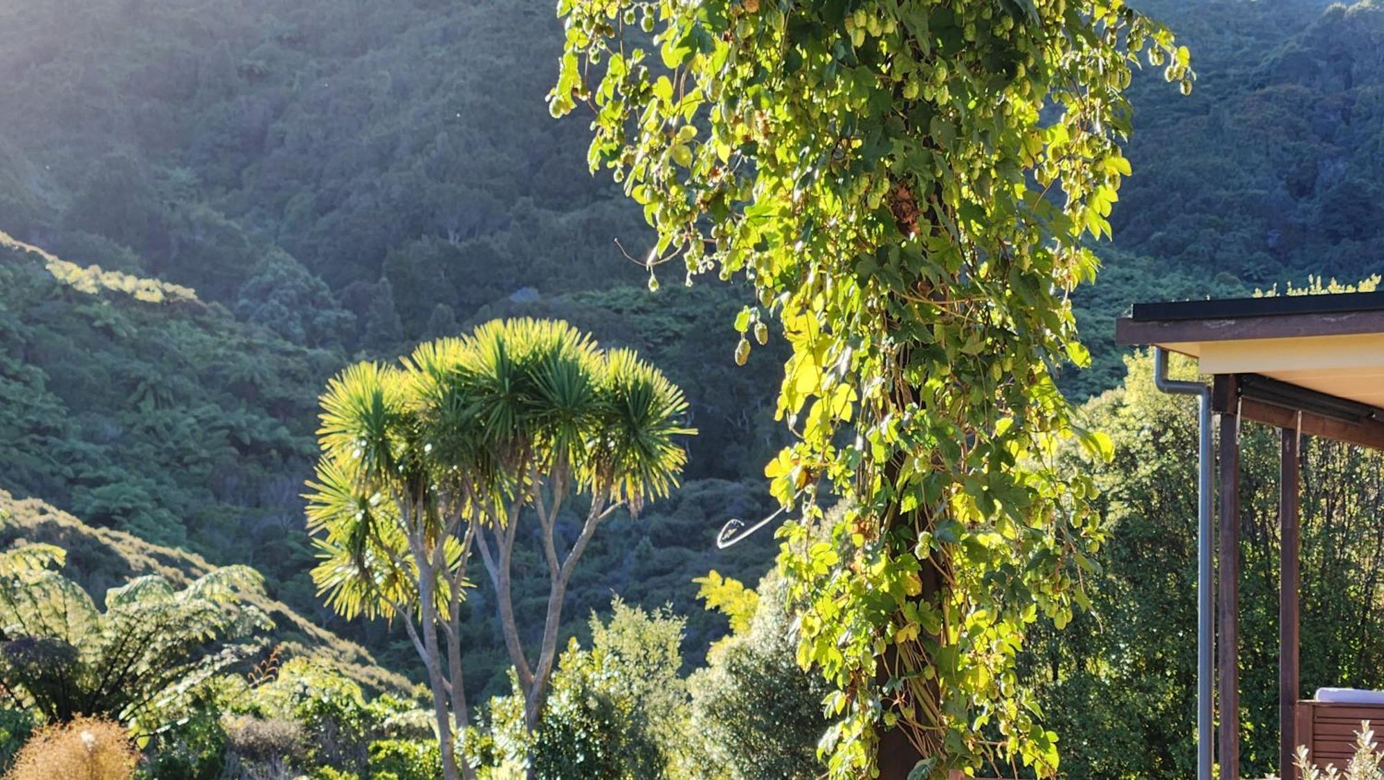 Hotel Boutique Art Retreat Upper Hutt Esterno foto