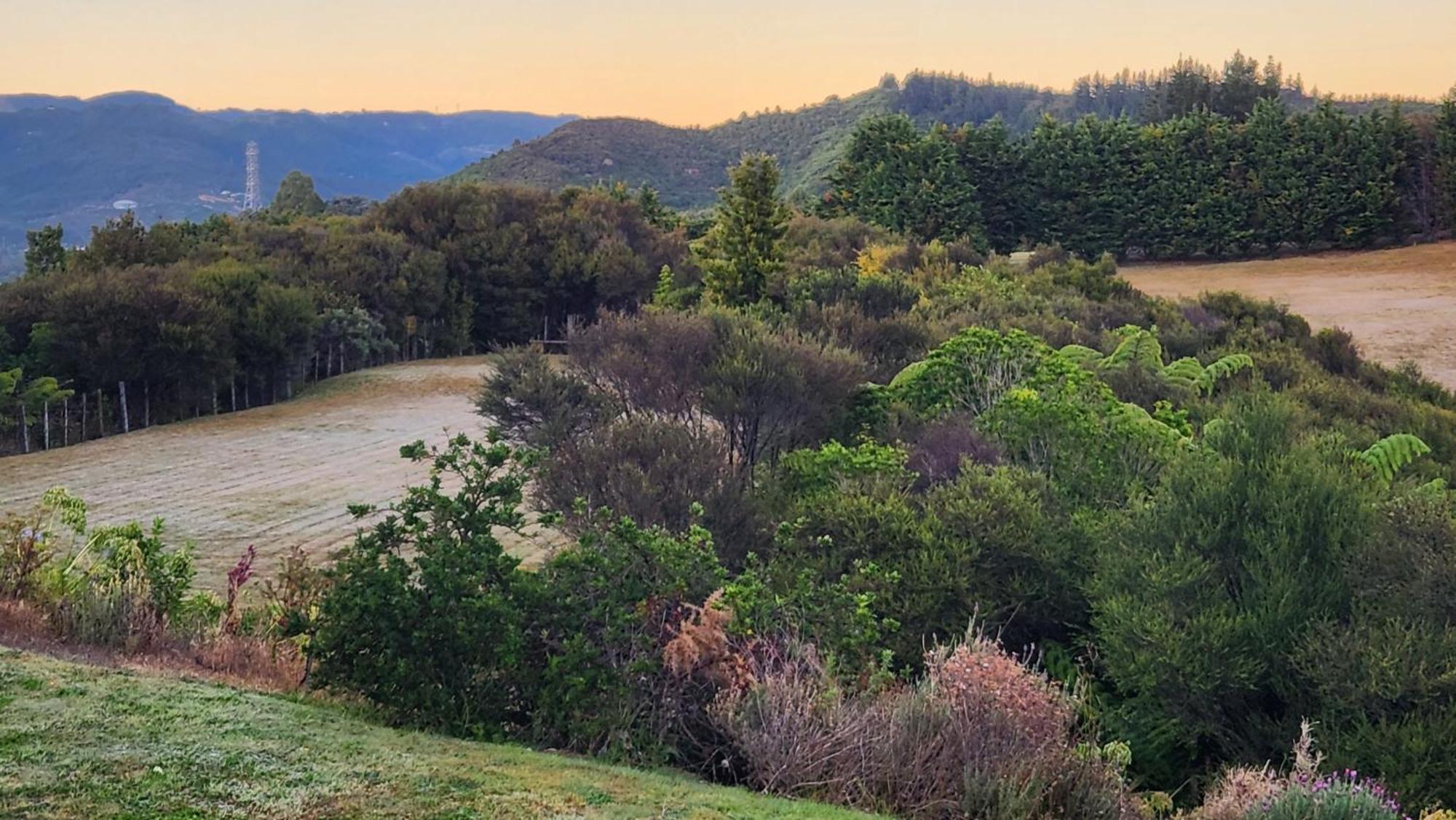 Hotel Boutique Art Retreat Upper Hutt Esterno foto